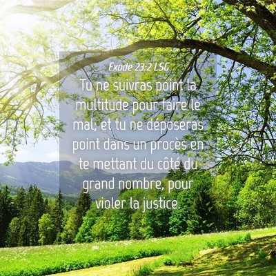 Picture 04 - Exode 23:2 LSG - Tu ne suivras point la multitude pour faire le - Bible Verse Picture