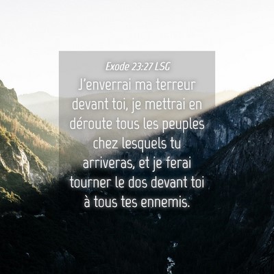 Picture 04 - Exode 23:27 LSG - J'enverrai ma terreur devant toi, je mettrai en - Bible Verse Picture