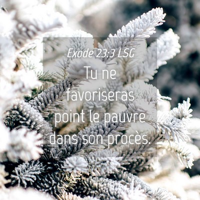 Picture 04 - Exode 23:3 LSG - Tu ne favoriseras point le pauvre dans son - Bible Verse Picture