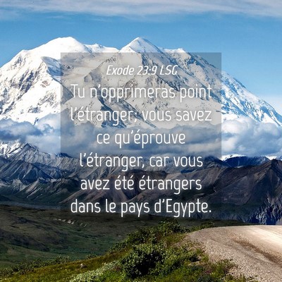 Picture 04 - Exode 23:9 LSG - Tu n'opprimeras point l'étranger; vous savez ce - Bible Verse Picture