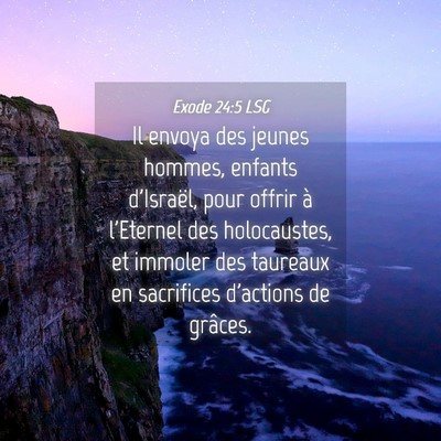 Picture 04 - Exode 24:5 LSG - Il envoya des jeunes hommes, enfants d'Israël, - Bible Verse Picture