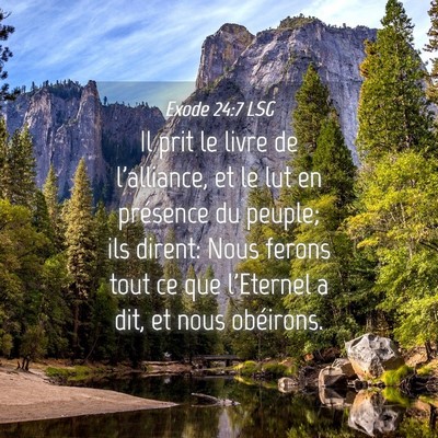 Picture 04 - Exode 24:7 LSG - Il prit le livre de l'alliance, et le lut en - Bible Verse Picture