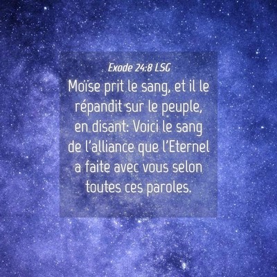 Picture 04 - Exode 24:8 LSG - Moïse prit le sang, et il le répandit sur le - Bible Verse Picture