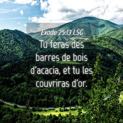 Picture 04 - Exode 25:13 LSG - Tu feras des barres de bois d'acacia, et tu les - Bible Verse Picture