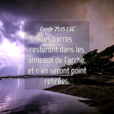 Picture 04 - Exode 25:15 LSG - les barres resteront dans les anneaux de l'arche, - Bible Verse Picture