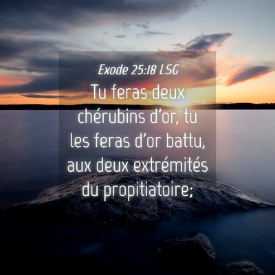 Picture 04 - Exode 25:18 LSG - Tu feras deux chérubins d'or, tu les feras d'or - Bible Verse Picture