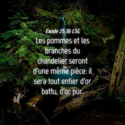 Picture 04 - Exode 25:36 LSG - Les pommes et les branches du chandelier seront - Bible Verse Picture