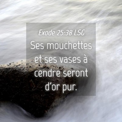 Picture 04 - Exode 25:38 LSG - Ses mouchettes et ses vases à cendre seront d'or - Bible Verse Picture