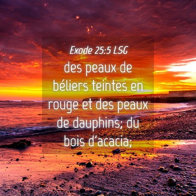 Picture 04 - Exode 25:5 LSG - des peaux de béliers teintes en rouge et des - Bible Verse Picture