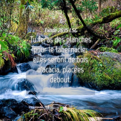 Picture 04 - Exode 26:15 LSG - Tu feras des planches pour le tabernacle; elles - Bible Verse Picture