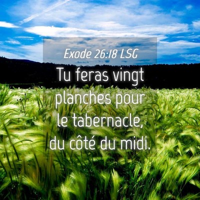 Picture 04 - Exode 26:18 LSG - Tu feras vingt planches pour le tabernacle, du - Bible Verse Picture