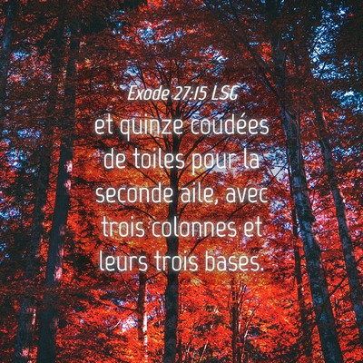 Picture 04 - Exode 27:15 LSG - et quinze coudées de toiles pour la seconde - Bible Verse Picture