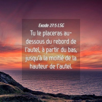 Picture 04 - Exode 27:5 LSG - Tu le placeras au-dessous du rebord de l'autel, - Bible Verse Picture