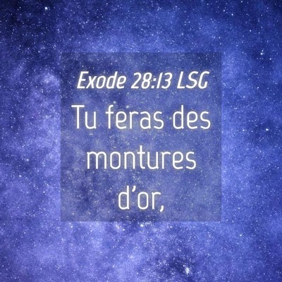 Picture 04 - Exode 28:13 LSG - Tu feras des montures - Bible Verse Picture