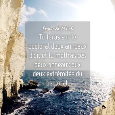 Picture 04 - Exode 28:23 LSG - Tu feras sur le pectoral deux anneaux d'or, et tu - Bible Verse Picture
