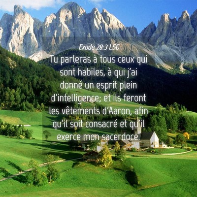 Picture 04 - Exode 28:3 LSG - Tu parleras à tous ceux qui sont habiles, à qui - Bible Verse Picture