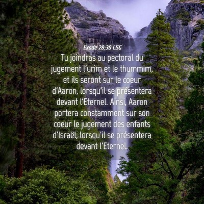 Picture 04 - Exode 28:30 LSG - Tu joindras au pectoral du jugement l'urim et le - Bible Verse Picture