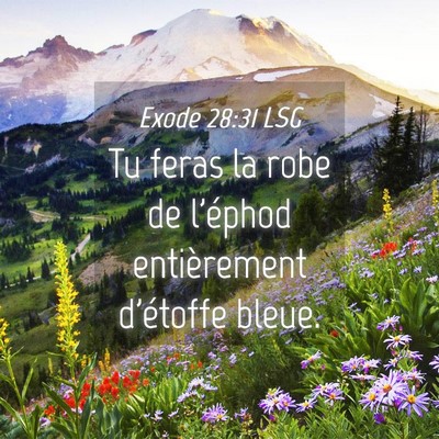 Picture 04 - Exode 28:31 LSG - Tu feras la robe de l'éphod entièrement - Bible Verse Picture