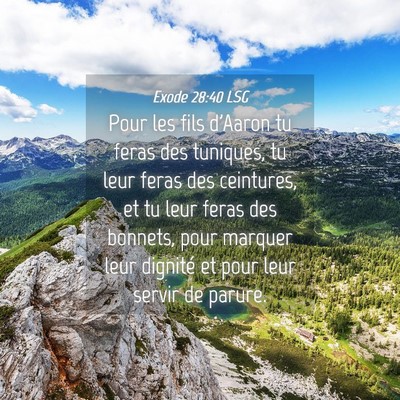 Picture 04 - Exode 28:40 LSG - Pour les fils d'Aaron tu feras des tuniques, tu - Bible Verse Picture
