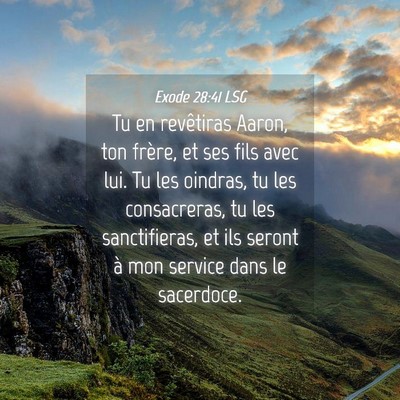 Picture 04 - Exode 28:41 LSG - Tu en revêtiras Aaron, ton frère, et ses fils - Bible Verse Picture
