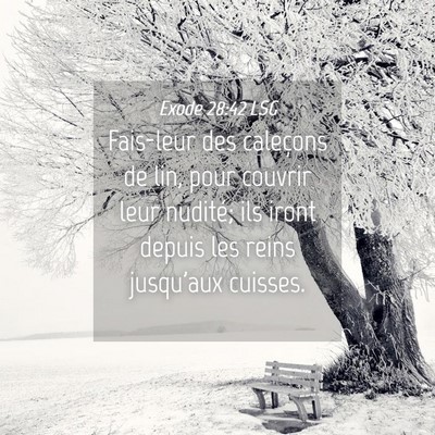 Picture 04 - Exode 28:42 LSG - Fais-leur des caleçons de lin, pour couvrir leur - Bible Verse Picture