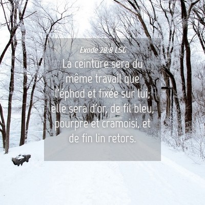 Picture 04 - Exode 28:8 LSG - La ceinture sera du même travail que l'éphod et - Bible Verse Picture