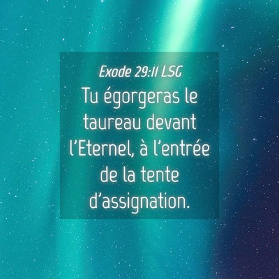 Picture 04 - Exode 29:11 LSG - Tu égorgeras le taureau devant l'Eternel, à - Bible Verse Picture