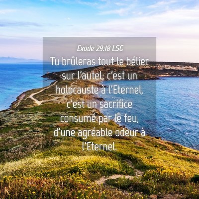 Picture 04 - Exode 29:18 LSG - Tu brûleras tout le bélier sur l'autel; c'est - Bible Verse Picture