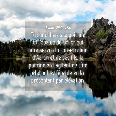 Picture 04 - Exode 29:27 LSG - Tu sanctifieras la poitrine et l'épaule du - Bible Verse Picture