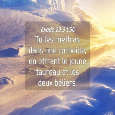 Picture 04 - Exode 29:3 LSG - Tu les mettras dans une corbeille, en offrant le - Bible Verse Picture