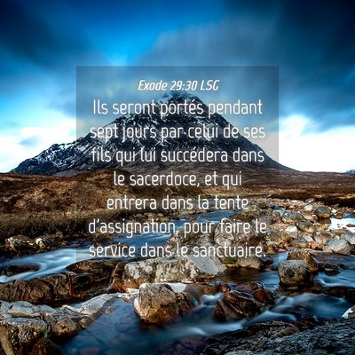 Picture 04 - Exode 29:30 LSG - Ils seront portés pendant sept jours par celui - Bible Verse Picture