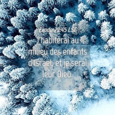Picture 04 - Exode 29:45 LSG - J'habiterai au milieu des enfants d'Israël, et - Bible Verse Picture