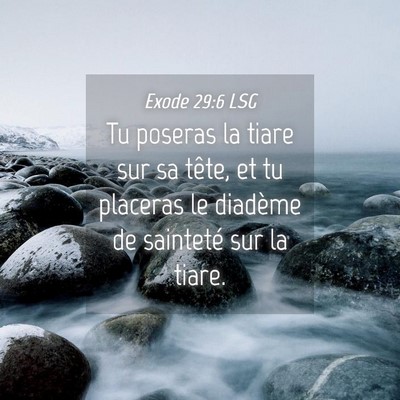 Picture 04 - Exode 29:6 LSG - Tu poseras la tiare sur sa tête, et tu placeras - Bible Verse Picture