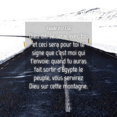 Picture 04 - Exode 3:12 LSG - Dieu dit: Je serai avec toi; et ceci sera pour - Bible Verse Picture