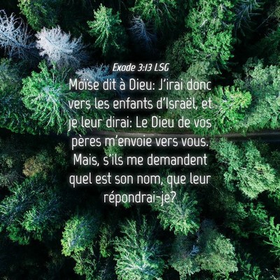 Picture 04 - Exode 3:13 LSG - Moïse dit à Dieu: J'irai donc vers les enfants - Bible Verse Picture