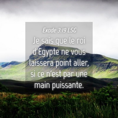 Picture 04 - Exode 3:19 LSG - Je sais que le roi d'Egypte ne vous laissera - Bible Verse Picture