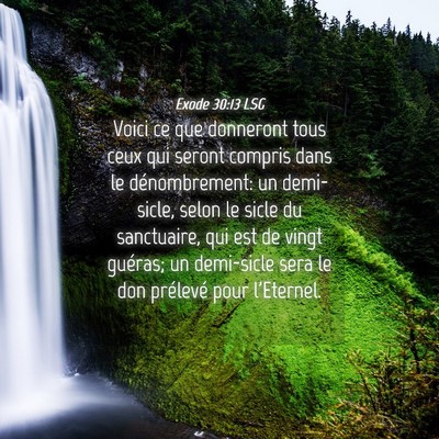 Picture 04 - Exode 30:13 LSG - Voici ce que donneront tous ceux qui seront - Bible Verse Picture