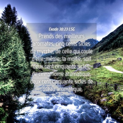 Picture 04 - Exode 30:23 LSG - Prends des meilleurs aromates, cinq cents sicles - Bible Verse Picture