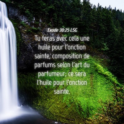 Picture 04 - Exode 30:25 LSG - Tu feras avec cela une huile pour l'onction - Bible Verse Picture