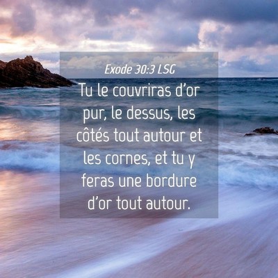 Picture 04 - Exode 30:3 LSG - Tu le couvriras d'or pur, le dessus, les côtés - Bible Verse Picture