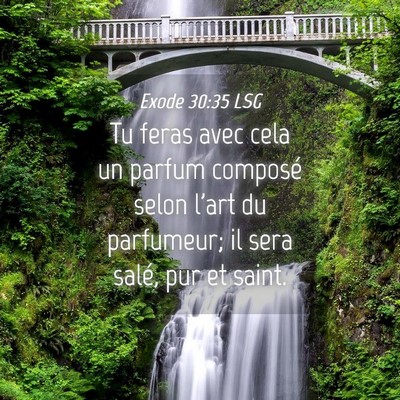 Picture 04 - Exode 30:35 LSG - Tu feras avec cela un parfum composé selon l'art - Bible Verse Picture