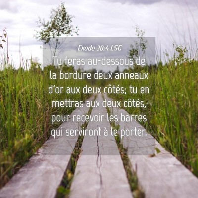 Picture 04 - Exode 30:4 LSG - Tu feras au-dessous de la bordure deux anneaux - Bible Verse Picture