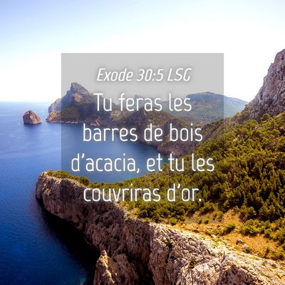 Picture 04 - Exode 30:5 LSG - Tu feras les barres de bois d'acacia, et tu les - Bible Verse Picture