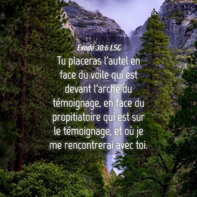 Picture 04 - Exode 30:6 LSG - Tu placeras l'autel en face du voile qui est - Bible Verse Picture