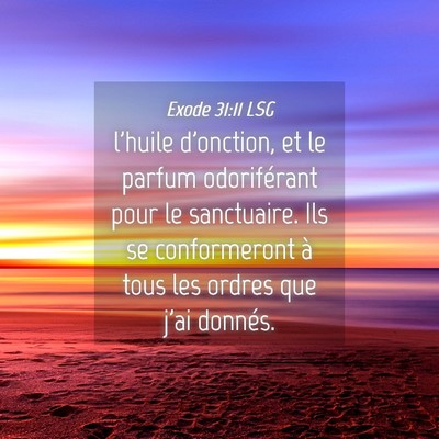 Picture 04 - Exode 31:11 LSG - l'huile d'onction, et le parfum odoriférant pour - Bible Verse Picture