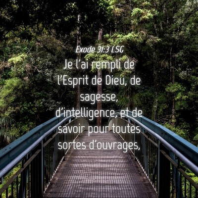 Picture 04 - Exode 31:3 LSG - Je l'ai rempli de l'Esprit de Dieu, de sagesse, - Bible Verse Picture