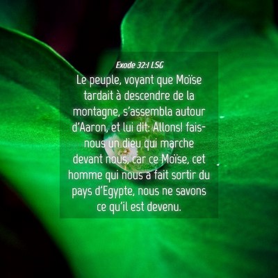 Picture 04 - Exode 32:1 LSG - Le peuple, voyant que Moïse tardait à descendre - Bible Verse Picture