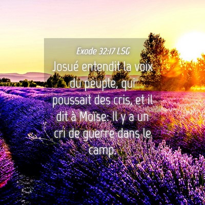 Picture 04 - Exode 32:17 LSG - Josué entendit la voix du peuple, qui poussait - Bible Verse Picture