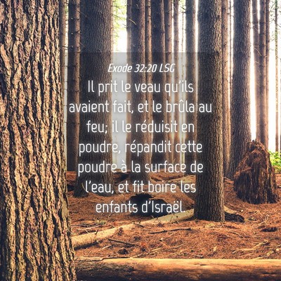 Picture 04 - Exode 32:20 LSG - Il prit le veau qu'ils avaient fait, et le brûla - Bible Verse Picture