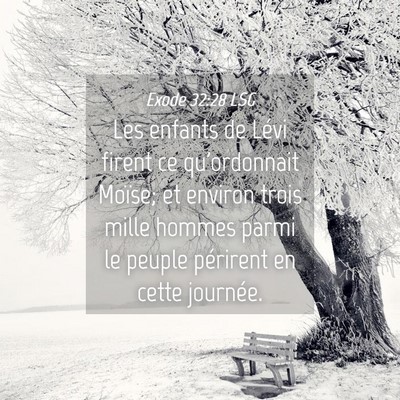 Picture 04 - Exode 32:28 LSG - Les enfants de Lévi firent ce qu'ordonnait - Bible Verse Picture